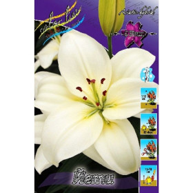 Йети (Азиат) 7шт