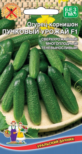 Пучковый урожай Ц(УД)