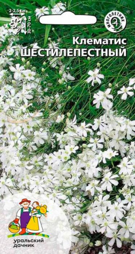 Шестилепестный Ц(УД)