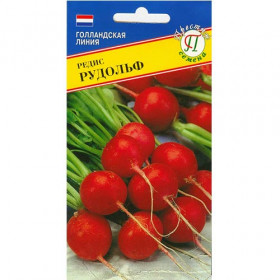 Рудольф 1гр.Ц(П)