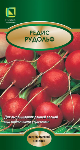 Рудольф Ц(Поиск) 2г