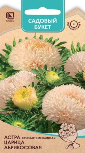 Царица Абрикосовая хризантемовидная Ц(Поиск)