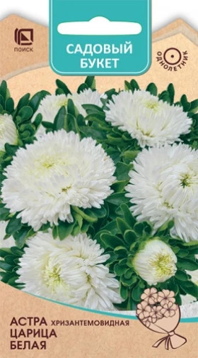 Царица Белая хризантемовидная Ц(Поиск)