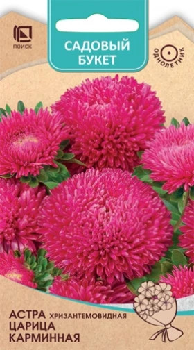 Царица Карминная хризантемовидная Ц(Поиск)