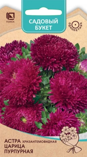 Царица Пурпурная хризантемовидная Ц(Поиск)