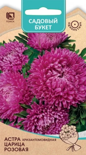 Царица Розовая хризантемовидная Ц(Поиск)