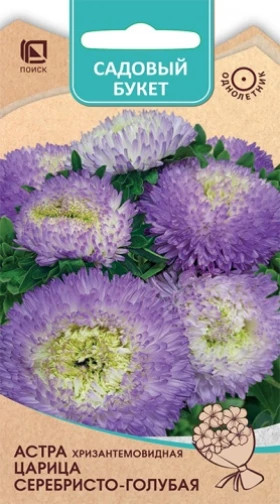 Царица Серебристо-голубая хризантемовидная Ц(Поиск)