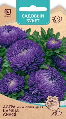 Царица Синяя хризантемовидная Ц(Поиск)