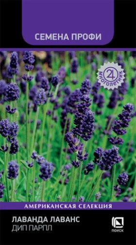 Лаванс Дип Парпл Ц(Поиск)