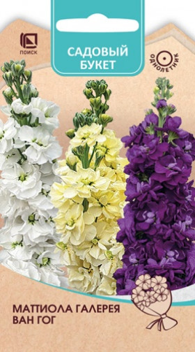 Галерея Ван Гог Ц(Поиск)