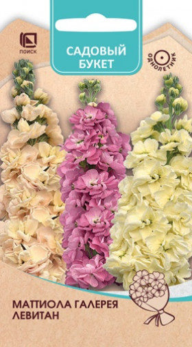 Галерея Левитан Ц(Поиск)