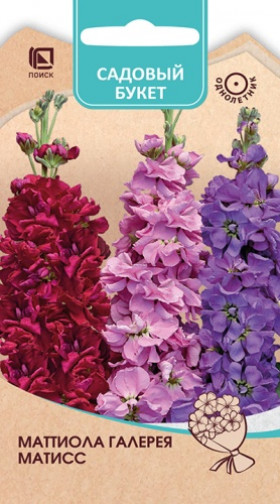 Галерея Матисс Ц(Поиск)