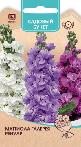 Галерея Ренуар Ц(Поиск)