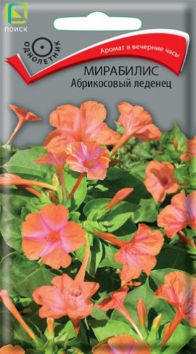 Абрикосовый леденец Ц(Поиск)