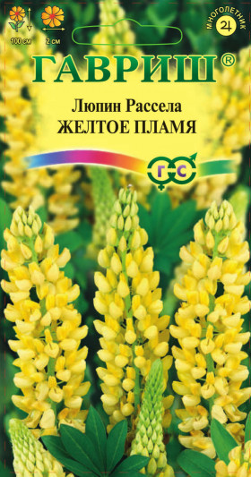 Желтое пламя Ц(Г)