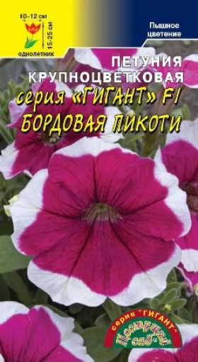 Гигант бордовая пикоти/Цветущий Сад