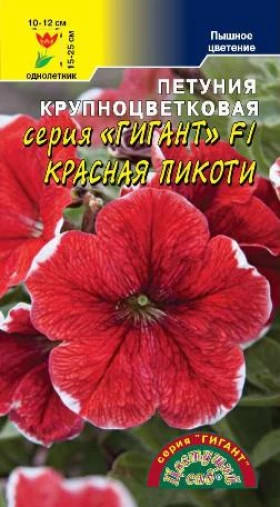 Гигант красная пикоти/Цветущий Сад