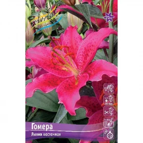 Гомера 13/14 вост. 5шт