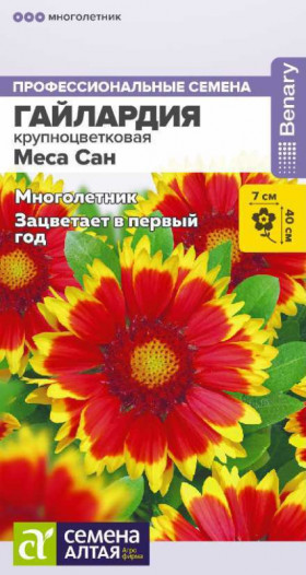 Меса Сан 3шт Ц(Алт)