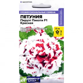 Пируэт Пикоти Красная махровая 10шт Ц(Алт)