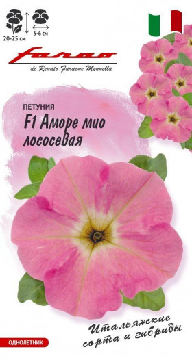 Аморе мио мелайя лососевая 10шт Ц(Г)