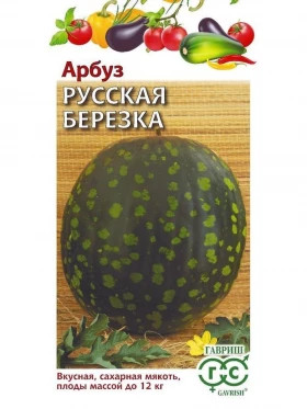 Русская березка 10шт Ц(Г)