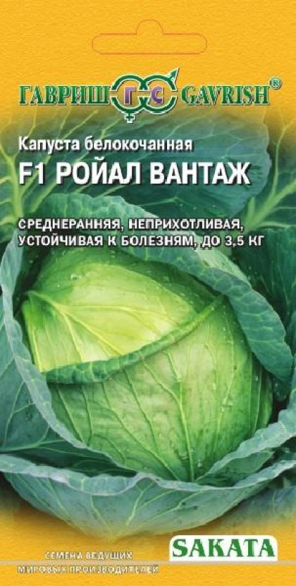 Ройал Вантаж10шт Ц(Г)