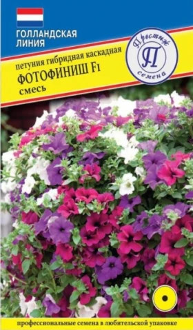 ФотоФиниш смесь Ц(П)