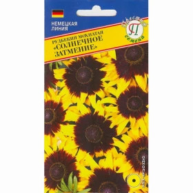 Солнечное затмение Ц(П)