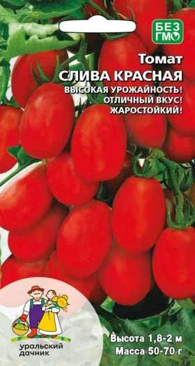 Слива красная Ц(УД) +50% бесплатно