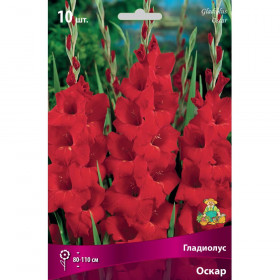 Оскар 10шт Поиск