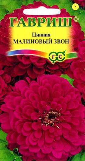 Малиновый звон Ц(Г) цинния