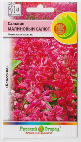 Малиновый салют Ц(Н)