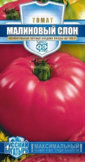 Малиновый слон Ц(Г)