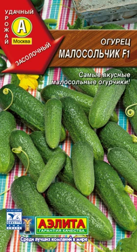 Малосольчик Ц(А)