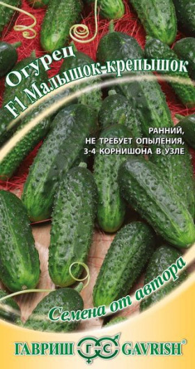 Малышок-крепышок Ц(Г)