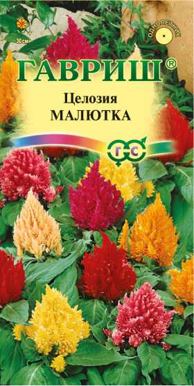 Малютка перистая Ц(Г)