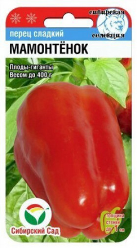 Мамонтёнок СС