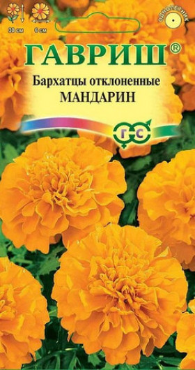 Мандарин Ц(Г)