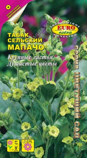 Мапачо сельский Ц(А)