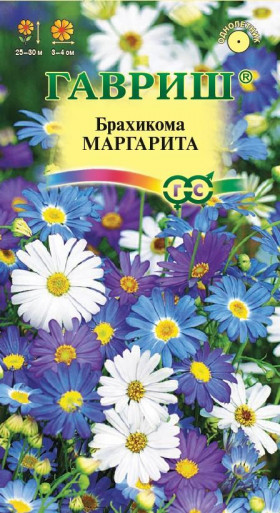 Маргарита иберисолистная Ц(Г)