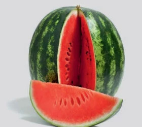 Бонта 5шт/ Элитные семена