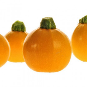 Ван Болл 5шт / Элитные семена