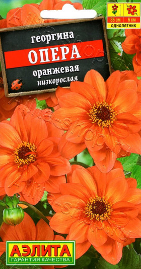 Опера оранжевая Ц(А)