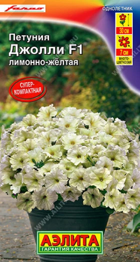 Джолли лимонно желтая многоцв Ц(А)