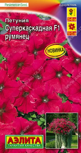 Суперкаскадная румянец Ц(А)