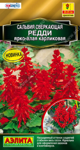 Редди ярко алая карликовая красная Ц(А)