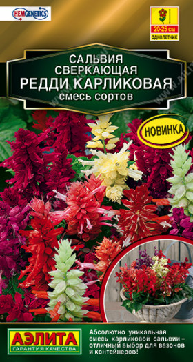 Редди карликовая смесь Ц(А)