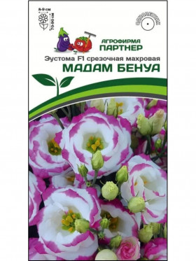 Мадам Бенуа 5шт срезоч махр Партнер