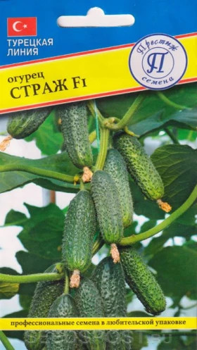 Страж 5шт.Ц(П)